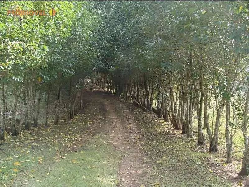 Sítio, Região de Jumirim SP - Foto 2