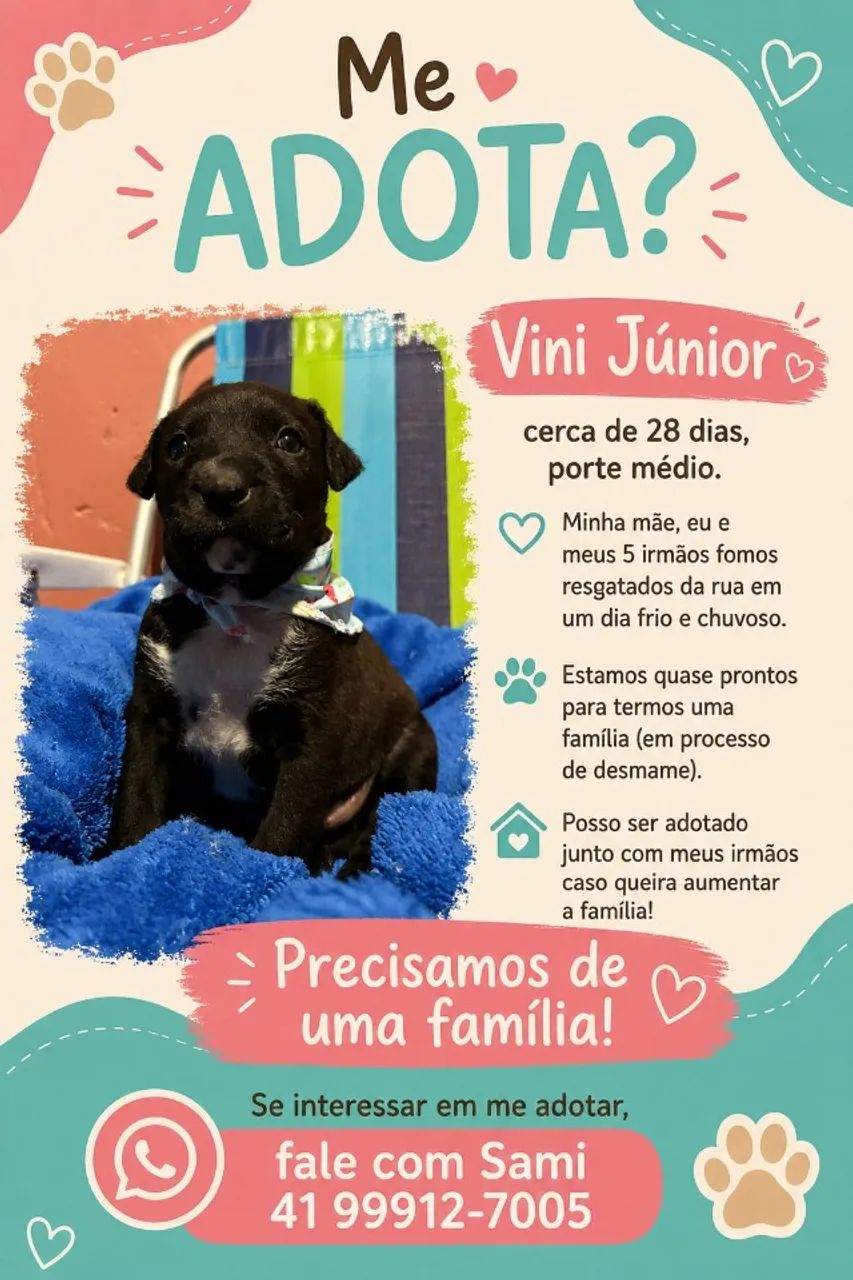 FILHOTES LINDOS ADOÇÃO  - Foto 3
