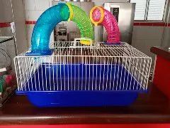 Gaiola hamster 