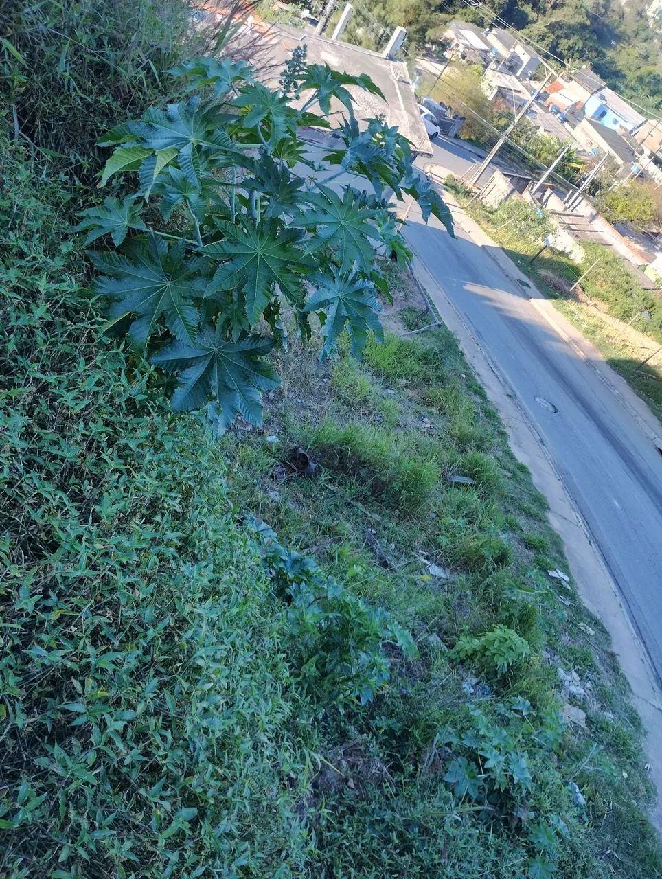Vende-se $ 110.000 mil - Foto 3