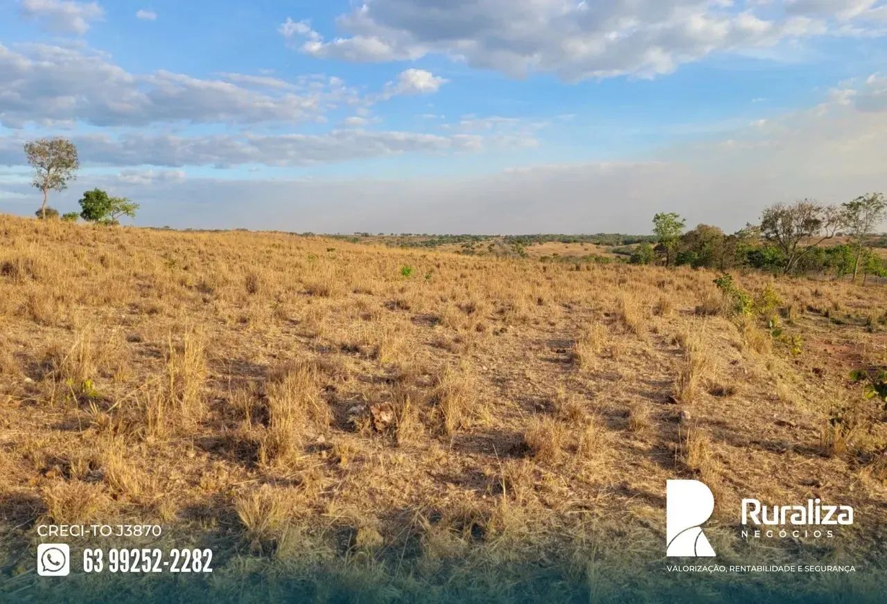 Fazenda em Pium - TO - Foto 3