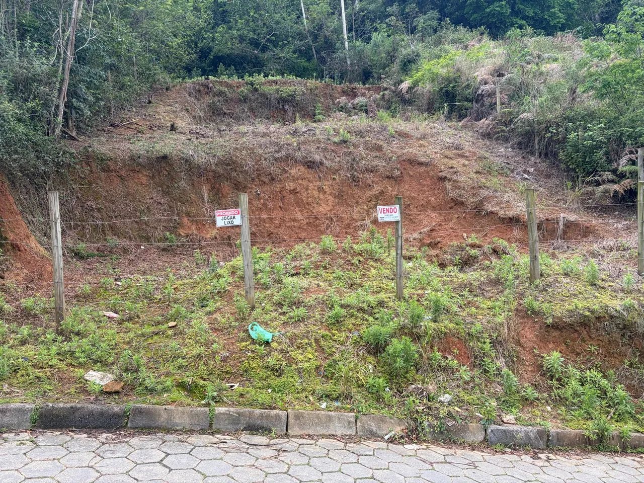 Terreno  - Foto 3