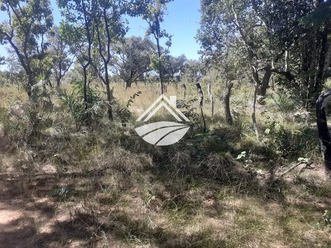 Fazenda para Venda em Lizarda - Foto 2