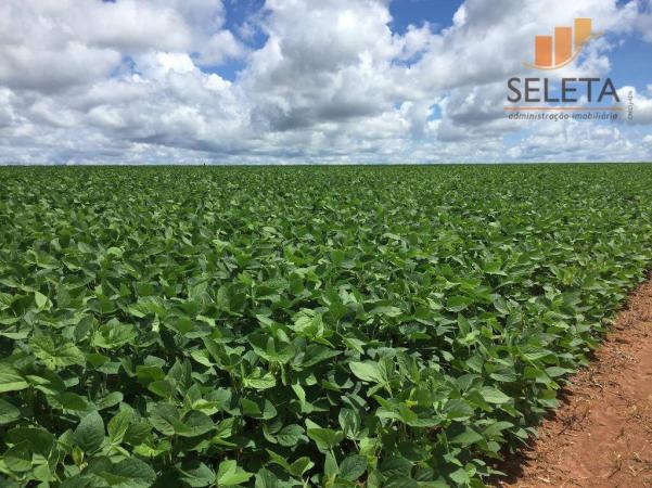 Fazenda à venda, * m² por R$ 125.000.000 - Vila Bom Jardim - Nobres/MT - Foto 2
