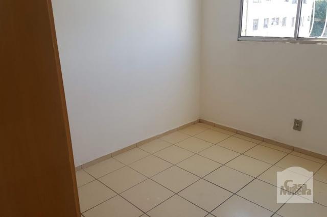 Apartamento à venda com 3 dormitórios em Monsenhor messias, Belo horizonte cod:245421 - Foto 8