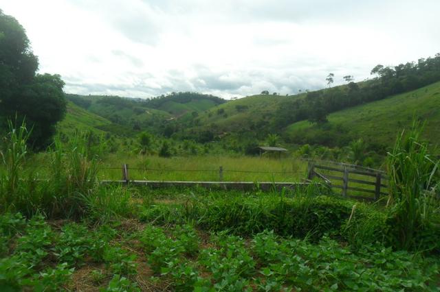 Fazenda 35 alqueires em colatina - Foto 10
