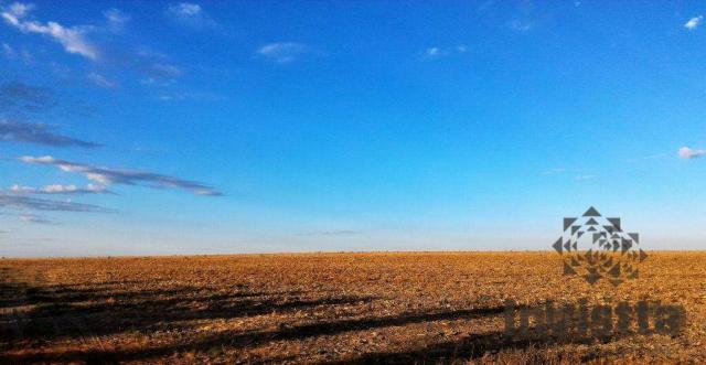 Oportunidade de excelente fazenda para agricultura!!! - Foto 2