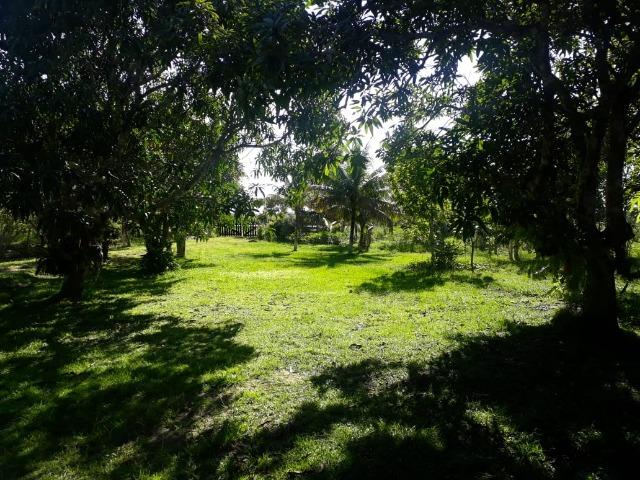 Sítio BR 364 Porto Velho Rondonia - Foto 6