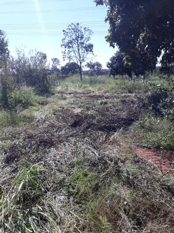 Fazenda 80 Alqueires município campina verde - Foto 14