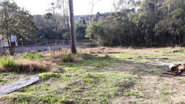 Chácara com 5.000 m², Agarau, São José dos Pinhais só R$349.500,00 - Foto 10