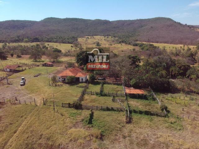 Cultura de Fazenda 90 alqueires ( 435 hectares ) Jandaia-GO