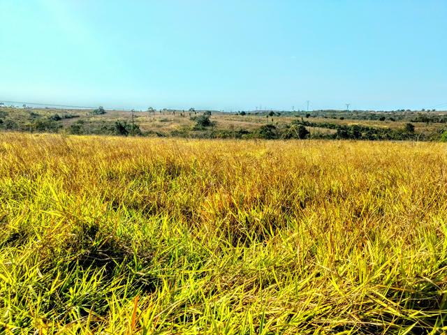 Fazenda 150 ha