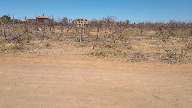 Lote - Foto 2