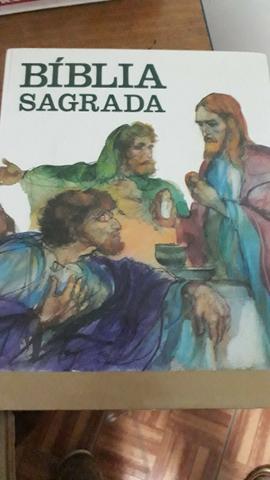 Vendo biblia sagrada ediçao loyola coleção ouro
