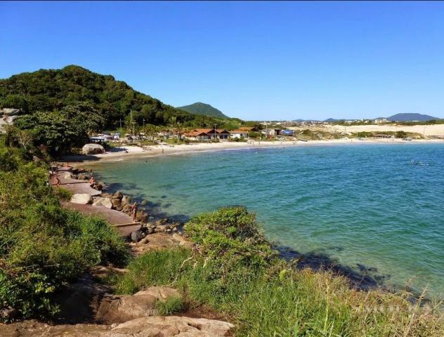 Apartamento à venda com 3 dormitórios em Ingleses do rio vermelho, Florianópolis cod:8808 - Foto 3