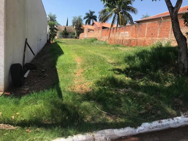 Terreno em Porto Rico - Foto 3