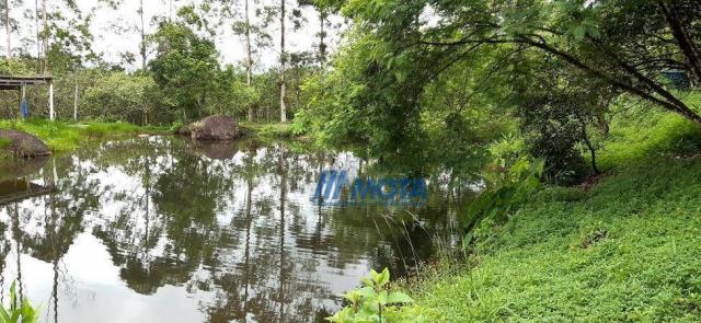 Fazenda a venda antonina com 105,2 alqueires, casa sede em 3 pavimentos, com grande capaci - Foto 10