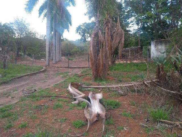 Lote em Chácara no Lago norte - Foto 3