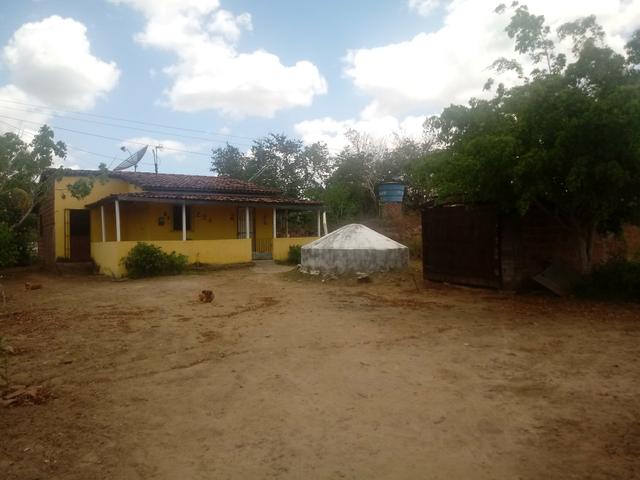 Sítio - Foto 10