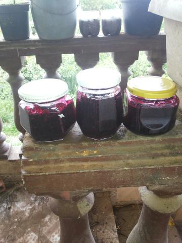 Geleia caseira de framboesa negra