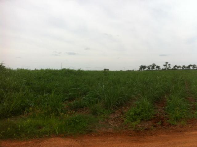 Itapetininga-Sp, Fazenda 90 Alqueires