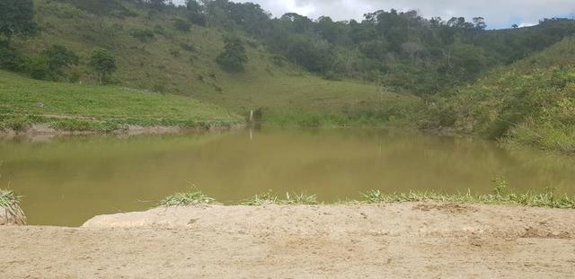 Fazenda 590,48 hectares no Leste de Minas na Região da sudene - Foto 2
