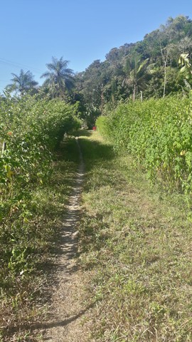 Vendo terreno em Guaramiranga 10 x 40
