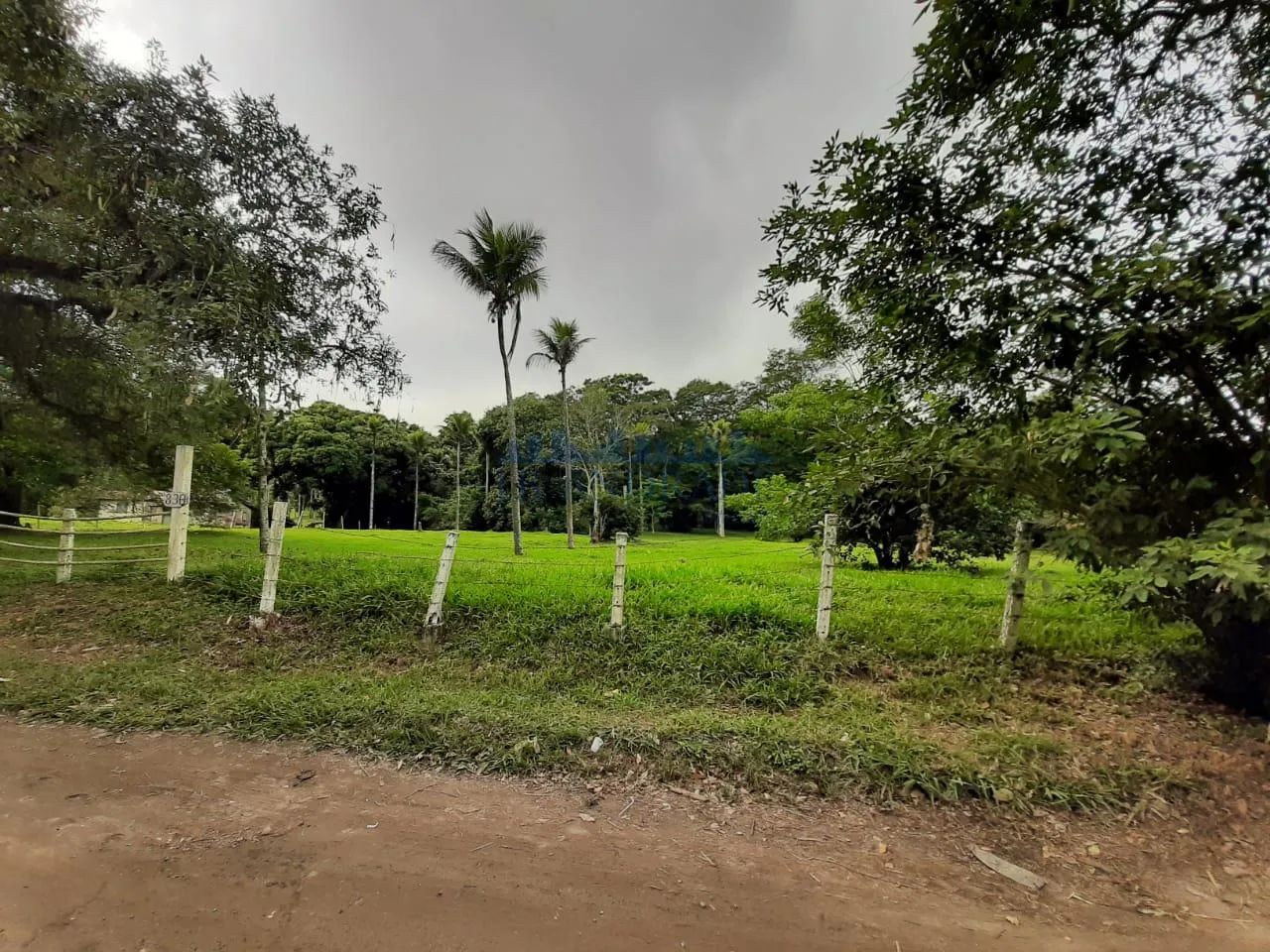 Guaratiba | Terreno - Foto 3
