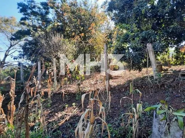 chácara - Centro - Jacutinga - Foto 3