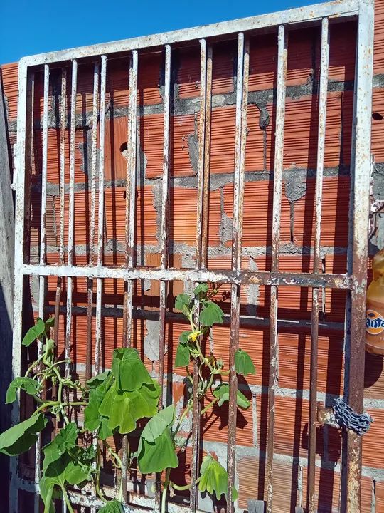 Portão de ferro puro reforçado 