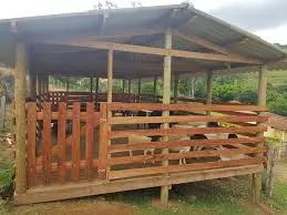 Curral pra boi e ovelha  - Foto 6