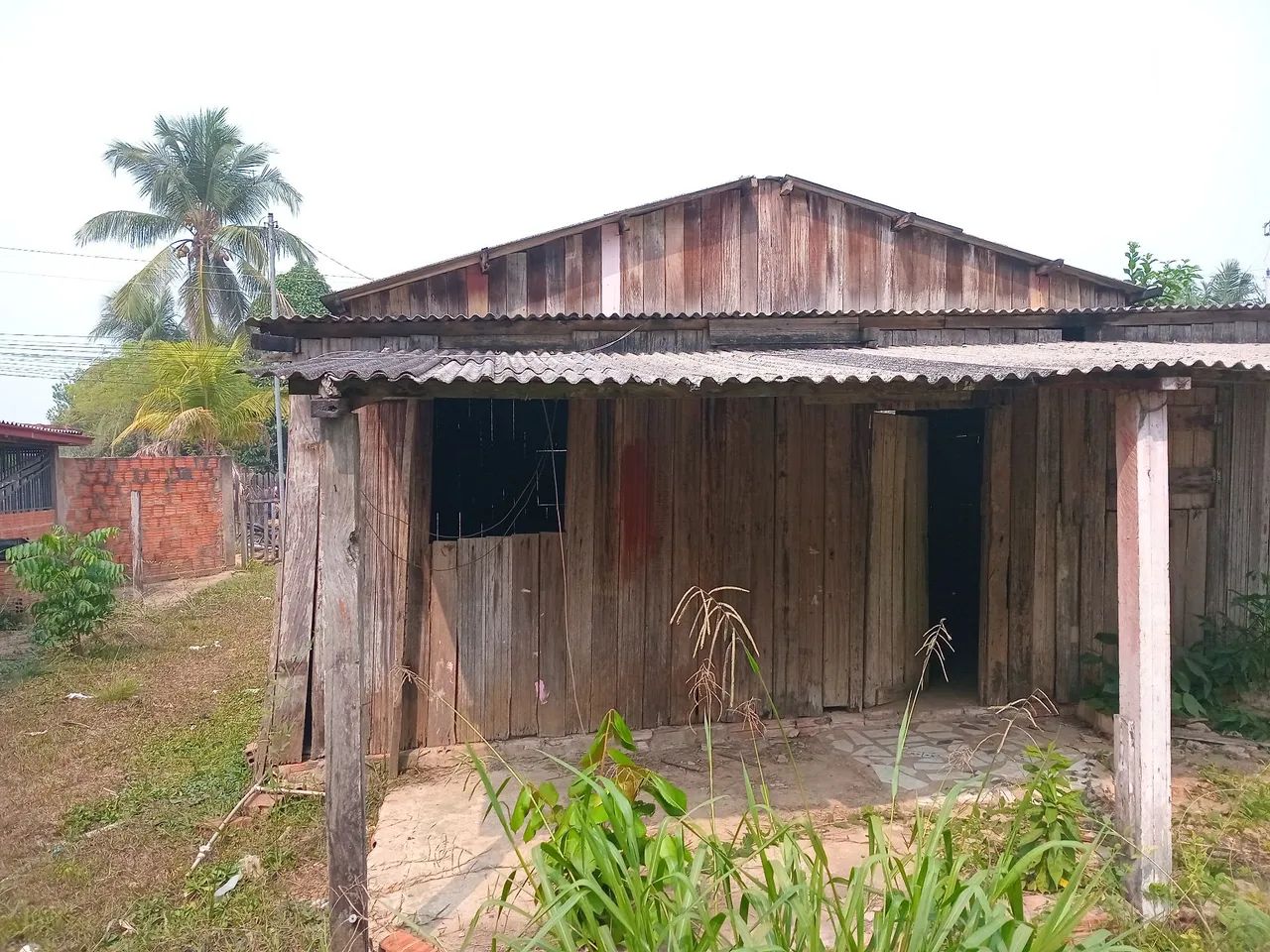 foto - Recife - Passarinho