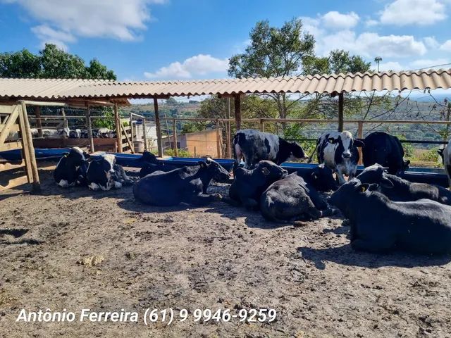 confinamento muito bem estruturada  - Foto 4