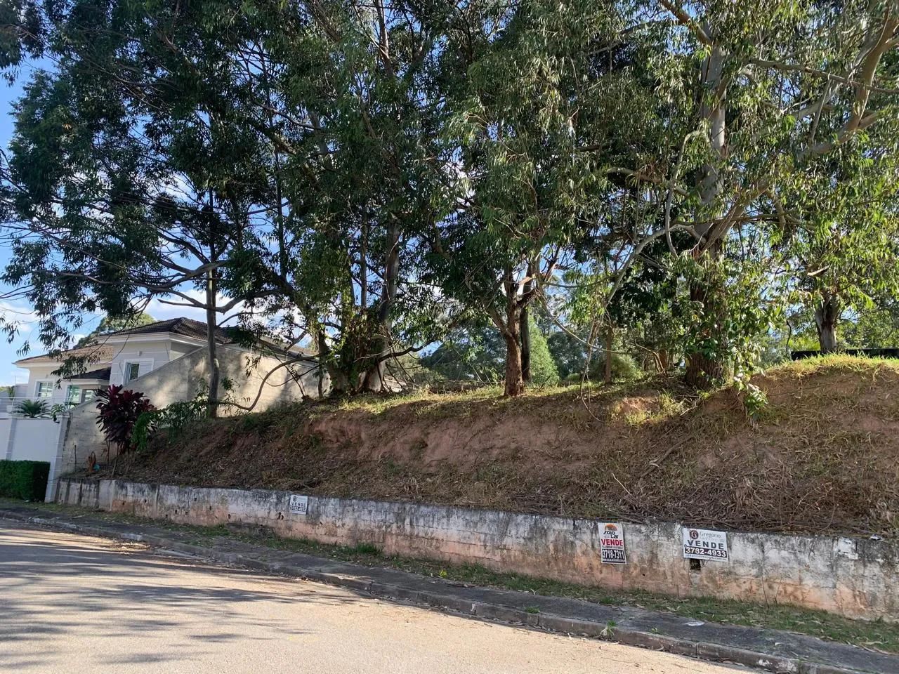 Foto - São Paulo - Parque dos Príncipes