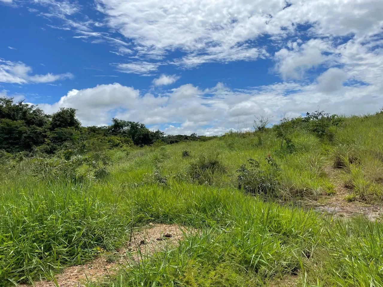 Fazenda em mimoso de Goiás/padre Bernardo. - Foto 4