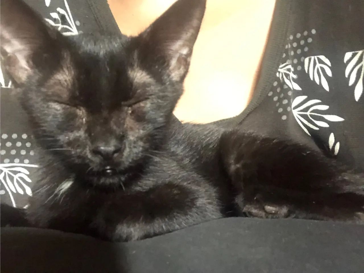 Doação responsável  - Foto 2