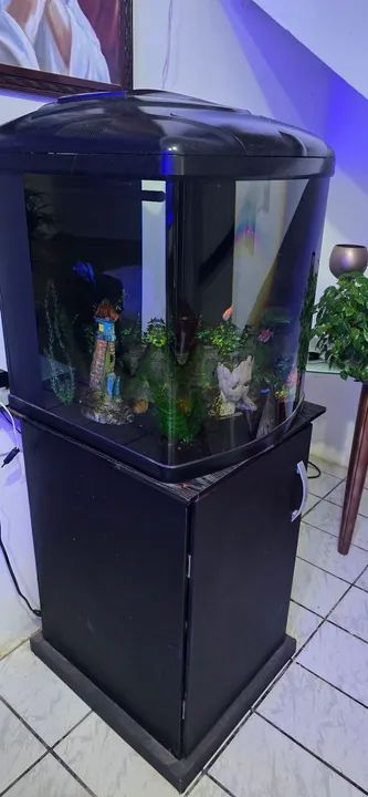 Aquário boyu - Foto 5