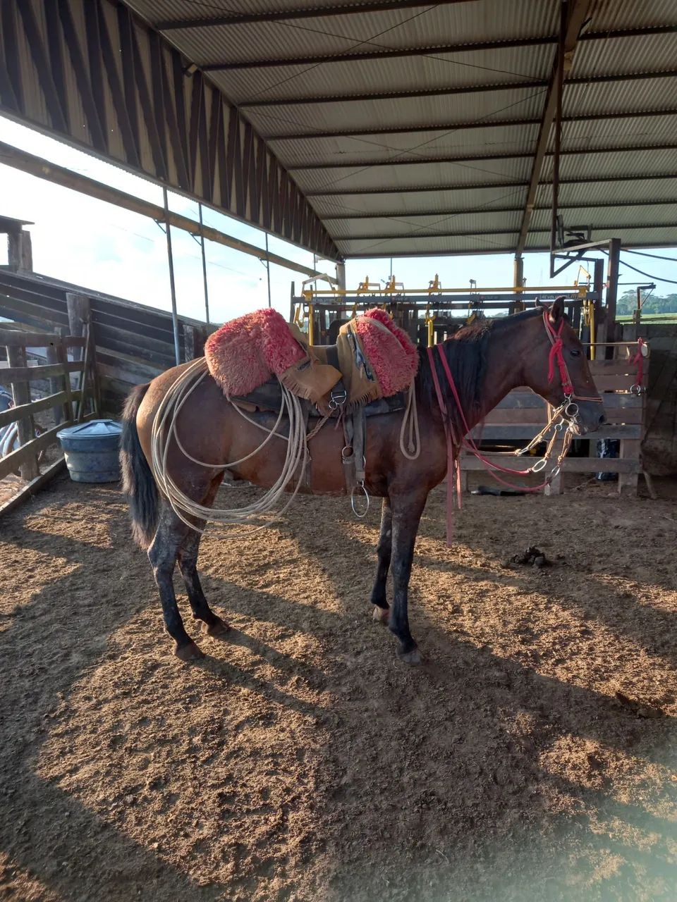 Conjunto de arreios para cavalo - Foto 2