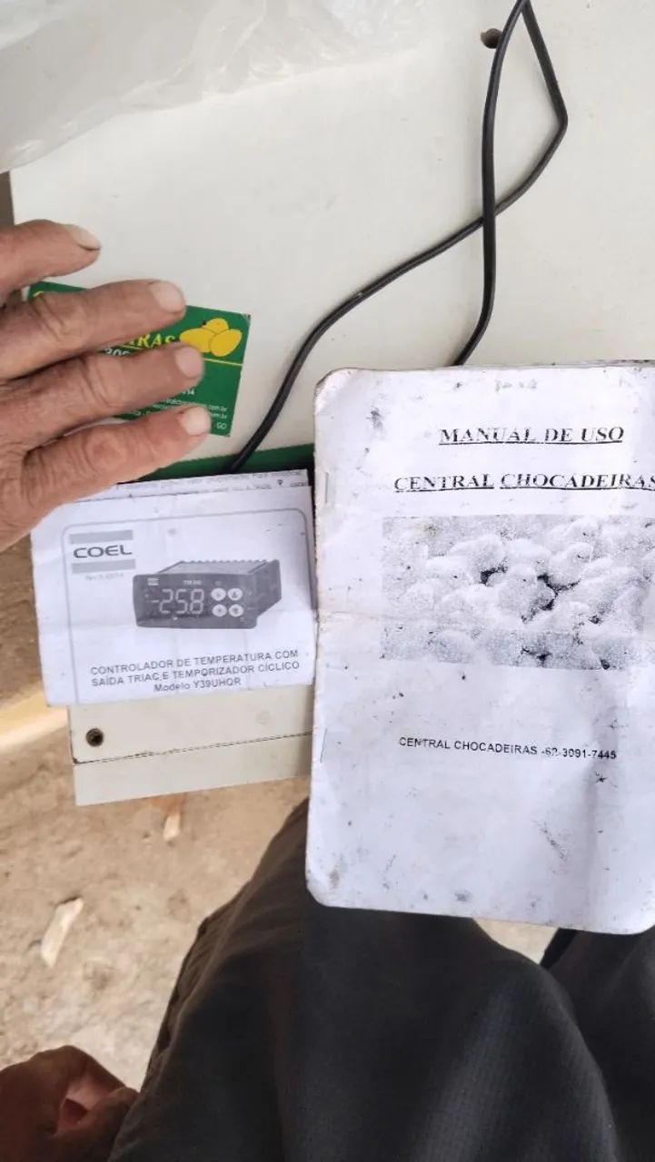 Chocadeira 74 ovos64167771284867124