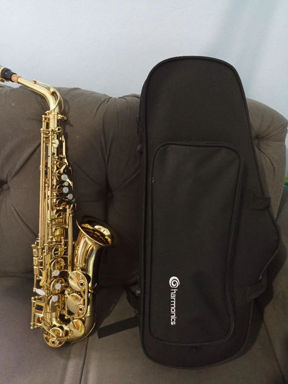 Saxofone Alto novinho