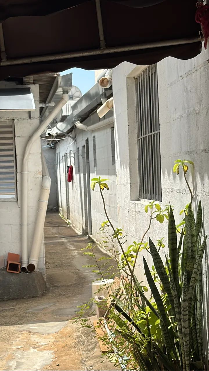 Foto - Campinas - Centro