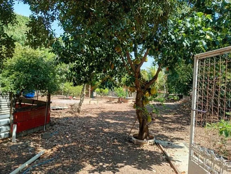 Chácara - Cajuru - Big Valley - Foto 2