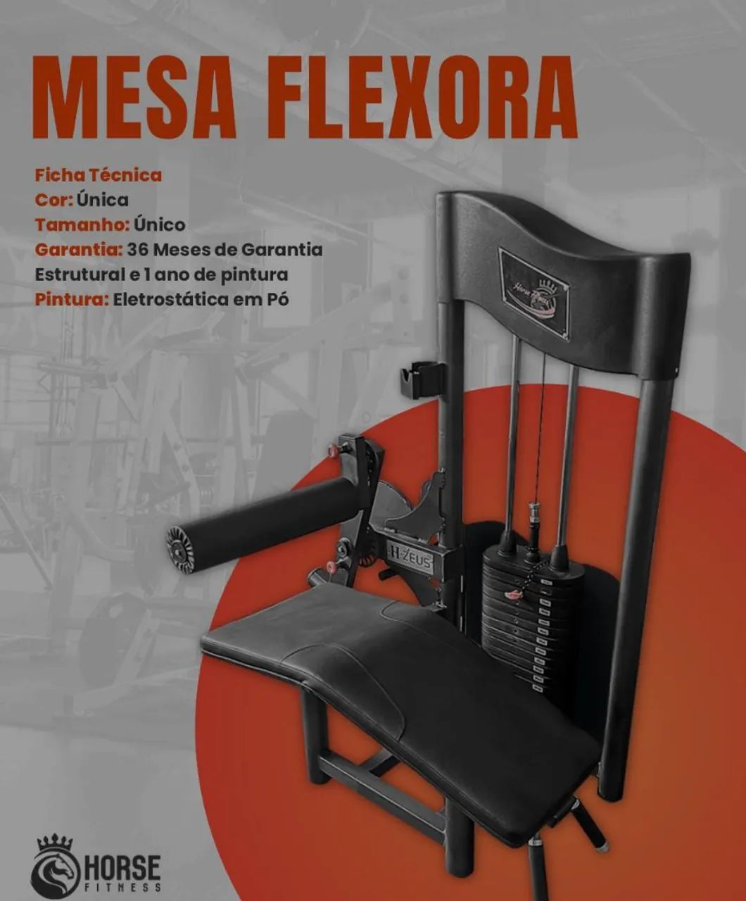 Academia Completa Horse Fitness - Equipamentos Top! - Foto 5