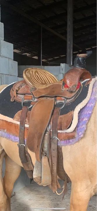 Vendo duas delas de laço 