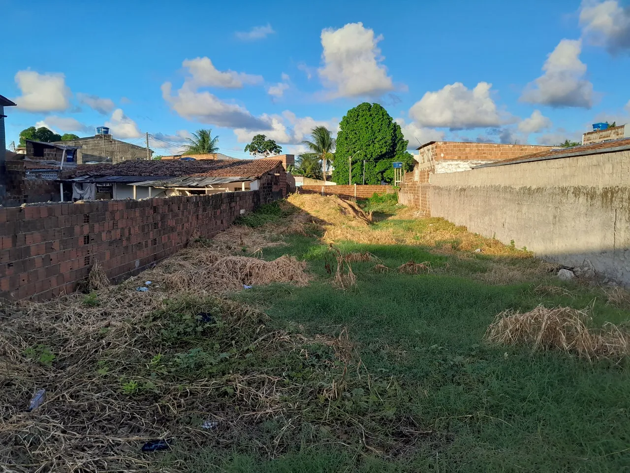 Terreno medindo 10×40 próximo a cestao ,na rua abdias genuíno de lima