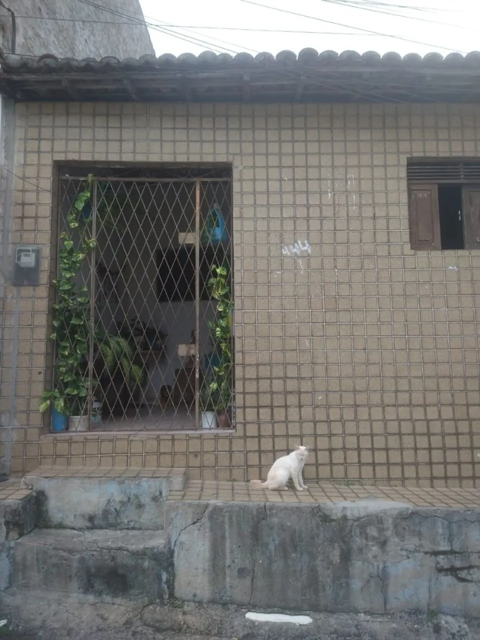 Casa em Felipe Camarão
