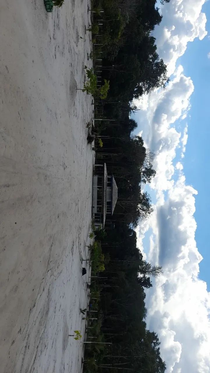 Sitio Estrada Novo Airão km 44 - Foto 9