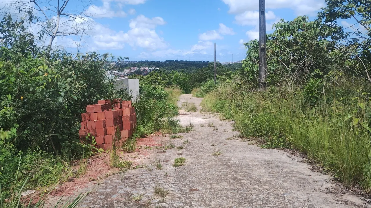 Terreno em Penedo' lote 10x20'