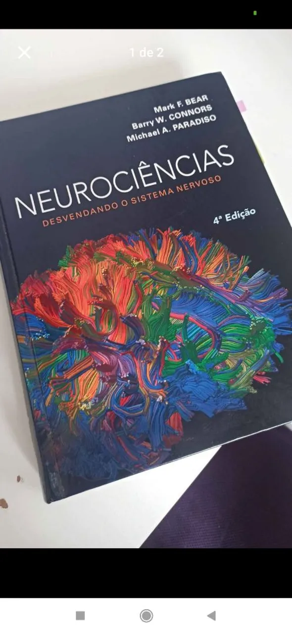 Livro Neurociências - Bear: Desvendando o Sistema Nervoso