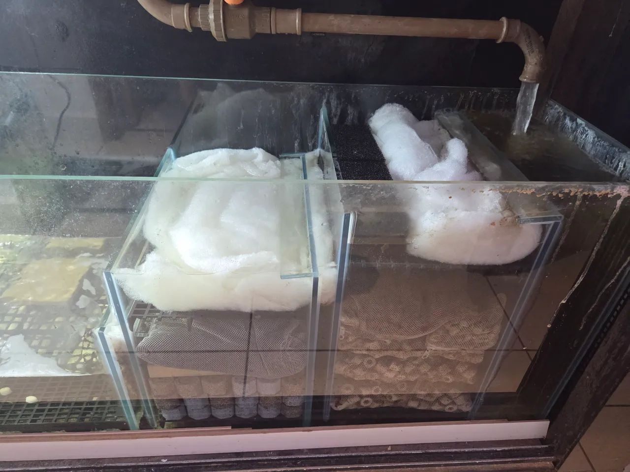 Aquário completo, com móvel  - Foto 5